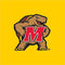 University of Maryland Terps Yellow Wii (Includes 1 Controller) Skin